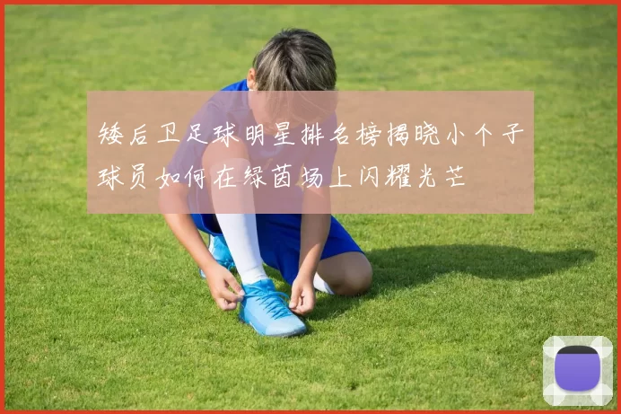 矮后卫足球明星排名榜揭晓小个子球员如何在绿茵场上闪耀光芒