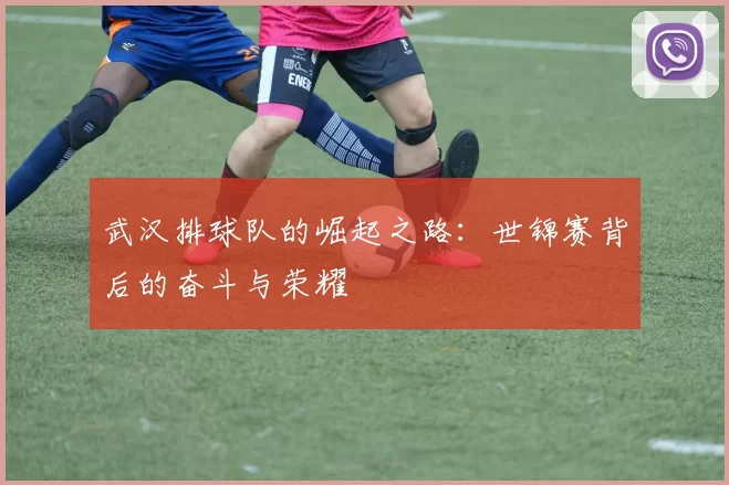 武汉排球队的崛起之路：世锦赛背后的奋斗与荣耀