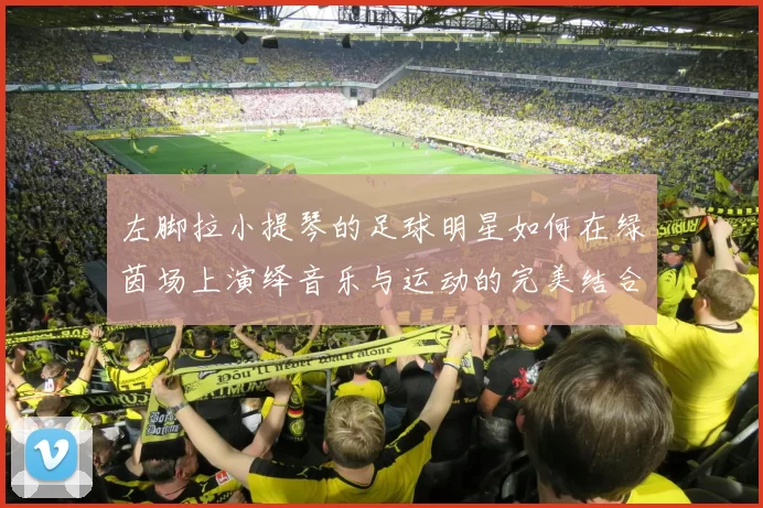 左脚拉小提琴的足球明星如何在绿茵场上演绎音乐与运动的完美结合
