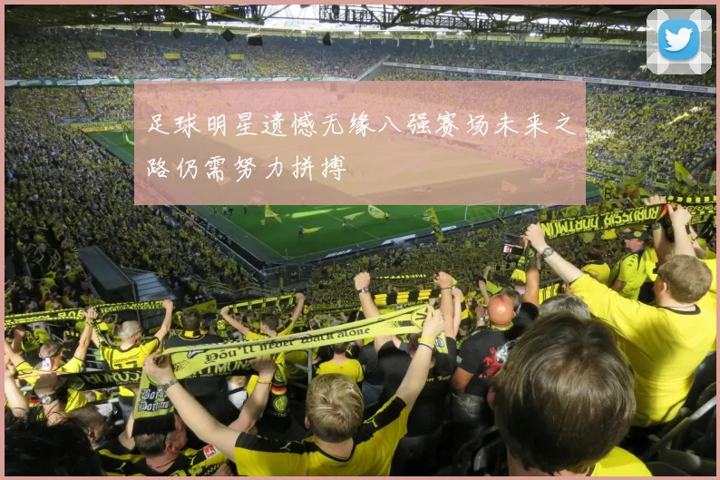 足球明星遗憾无缘八强赛场未来之路仍需努力拼搏
