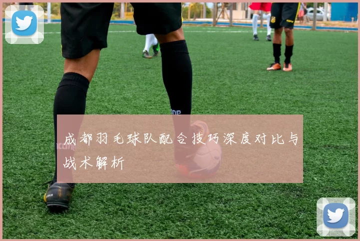 成都羽毛球队配合技巧深度对比与战术解析