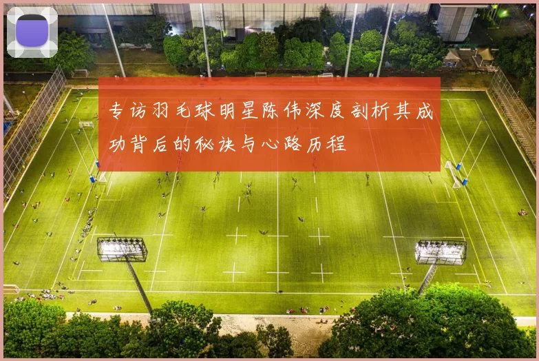 专访羽毛球明星陈伟深度剖析其成功背后的秘诀与心路历程