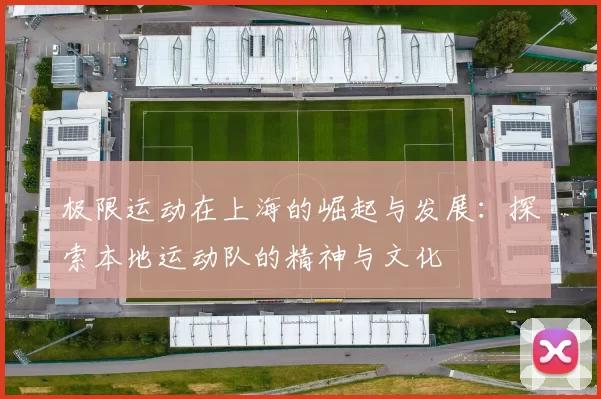 极限运动在上海的崛起与发展：探索本地运动队的精神与文化