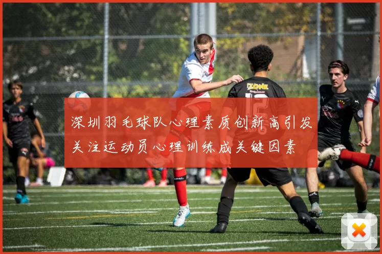 深圳羽毛球队心理素质创新高引发关注运动员心理训练成关键因素