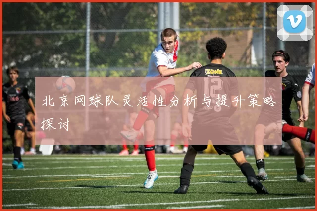北京网球队灵活性分析与提升策略探讨
